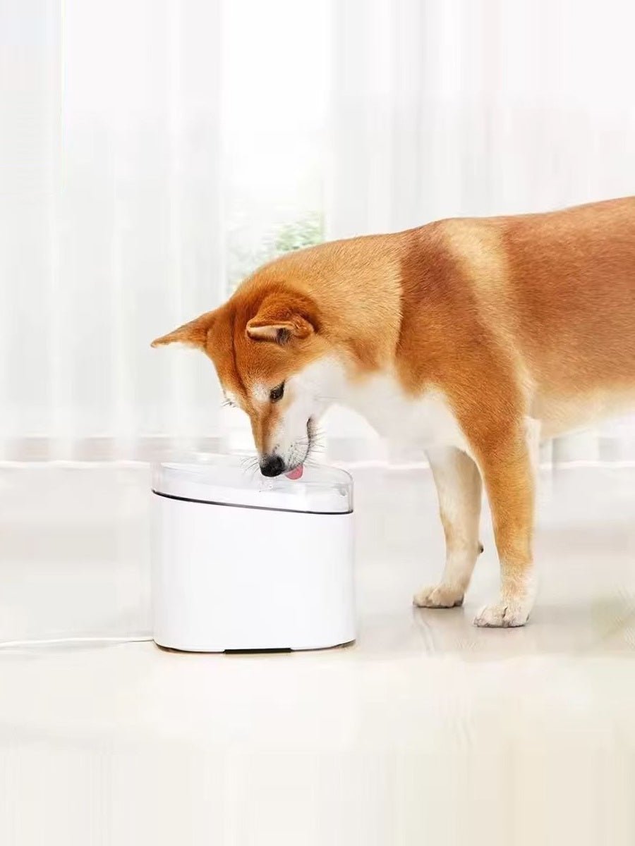 Xiaomi Kitten Puppy Pet Water Dispenser 2l Electric Pet Fountain Automatic Smart feed cats Dog Drinking Bowl Small Pet Product - ARRA SPORT